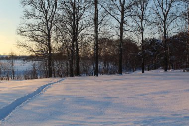 Fotoğraf kış kış orman yolundaki. / Kışın beyaz kar yağışı Rusya'da büyük bir vardır. Orman Parklar insan yolları basmak. Kış orman soğuk gün güzel manzara. Parlatıcı ağaçları arasında güneş ışınları.