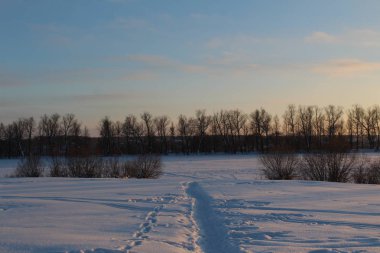 Fotoğraf kış kış orman yolundaki. / Kışın beyaz kar yağışı Rusya'da büyük bir vardır. Orman Parklar insan yolları basmak. Kış orman soğuk gün güzel manzara. Parlatıcı ağaçları arasında güneş ışınları.