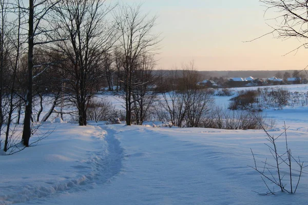 Foto Winterpfad Winterwald Russland Gibt Winter Viel Weißen Schneefall Den — Stockfoto