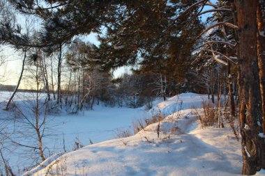 kış manzara nehir karla kaplı ve ağaçları ile / Rusya kışın soğuk ve ayaz. Nehirler dondur, buzla kaplı. Bir sürü beyaz kar kış sezonu. Nehir ve orman kıyısında ağaçlar karla kaplı.