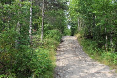 yolun ormana Ural bölgesi / güzel Ural bölgesindeki dağlık bölgelerde ormanlar. Seyahat arabayla ve yaya toprak yollar vardır. Fotoğraf yolu yaz, gün.
