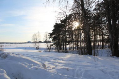 Ağaçlar üzerinde soğuk, güneşli bir gün. karlı kış / fotoğraf ağaçlar manzara soğuk, karlı kış ile. Ağaçların arasından güneş parlar. Güzel doğa. Bol karlı.