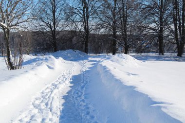 kar yolları bırak, buna kış orman / fotoğraf yolun, orman yolları. Kış mevsimindeyiz. Soğuk, soğuk, güneşli bir gün. Doğanın güzel manzara. Beyaz snow.country Rusya ağaçlarda.