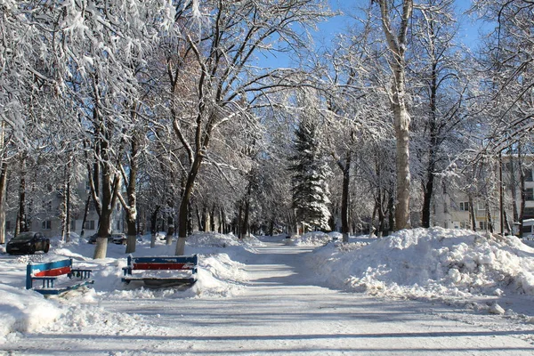 Schneebedeckte Gasse Der Stadt Foto Gasse Der Stadt Wintersaison Viel — Stockfoto