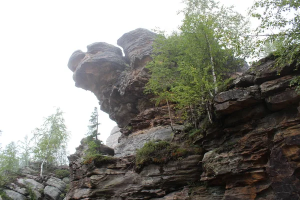 Gebirgsschildkröten Dauerwellen Region Foto Des Gebirges Der Dauerwellen Region Russland — Stockfoto