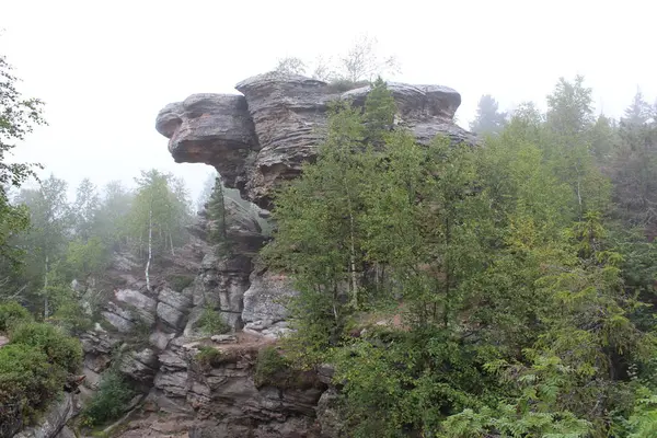 Perm Berggebied Turtle Foto Van Bergen Van Regio Perm Rusland — Stockfoto