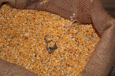 tahıl saklı bezelye olduğu çuval bezi çanta açın / açık çanta çuval bezi, kahverengi fotoğraf. bezelye tohumları depolar. Ondan lezzetli, sağlıklı yemek hazırlamak.