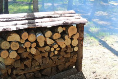 kayıtlar, bir woodpile içinde yığılmış yakacak odun / fotoğraf ağacı. ahşap bölme ve eşit olarak yığılmış. Orada bir sürü günlükleri ve çatı kapalı. çatı tahtaları var. ormanda günlüğe kaydeder. zaman yıl yaz.