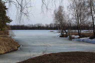 bir nehir, Bahar yatay buz ve ağaçları ile kaplı / fotoğraf bahar landscape.the nehir hala yerde yerlerde erimiş leaves.the kar olmadan beyaz ice.trees ile kaplıdır.