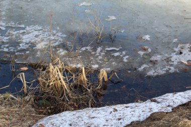 buzun erken baharında nehirde erir/nehrin fotoğrafı, göl. bahar time.in gölet buzu. deniz kıyıdan eritilir. kıyıya ve suda Kuru Çim ve yaprakları. su yansıma. Güneşli gün.