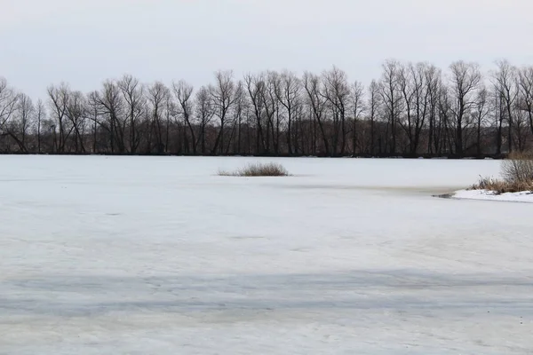 spring landscape with ice-covered river and trees / photo of spring landscape.rivers with ice.white ice and snow begins to melt.on Bank trees.there are no leaves on the trees.the season of rebirth of nature.