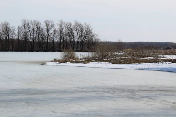 spring landscape with ice-covered river and trees / photo of spring landscape.rivers with ice.white ice and snow begins to melt.on Bank trees.there are no leaves on the trees.the season of rebirth of nature.