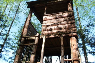 Ormandaki ahşap kulede ağaç kulesi var. Gözetleme kulesi ağaca karşı yüksekte duruyor. Gözetleme kulesi ormandaki ağaçların arasında. Merdivenleri çıkabilirsin.