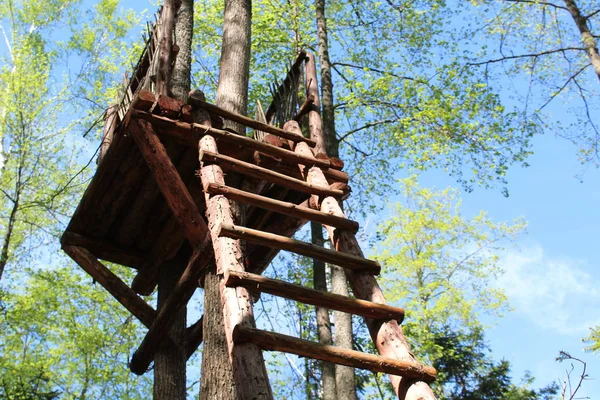 Torre Legno Nel Bosco Foto Torre Costruita Nel Forest Tower — Foto Stock