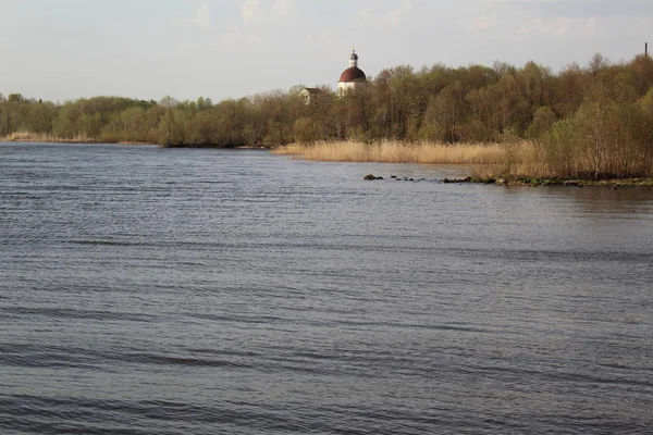 Красиве Озеро Берег Влітку Фото Біле Озеро Росії Резервуар Вологодського — стокове фото