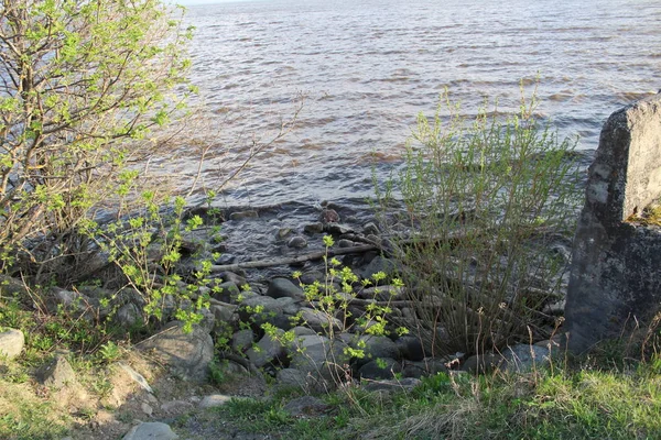 Shore Lake Stones Photo Beautiful Shore Lake Bank Large Grey — Stock Photo, Image