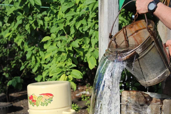 photo bucket of water / person pours water from the bucket.the well in the village.the liquid is clean and transparent.in the yard.five-liter pan yellow.the yard is private property.time year summer,day.sunny weather.