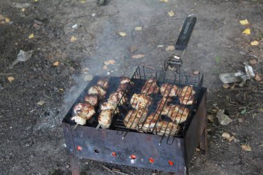 Izgara da taze ve kızarmış marine barbekü.piknik./fotoğraf ızgara kebaplar.yoğurt ızgara da marine.yemek ızgara sıcak kömürler üzerinde pişirilir.doğada yaz piknik.