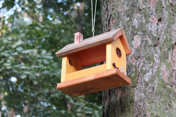 Mangiatoia Uccelli Legno Nel Parco Foto Mangiatoie Uccelli Fatte Mani — Foto Stock