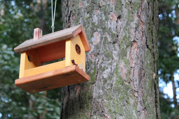 公园中的木制鸟类喂食者 照片鸟喂食器 由人类手工制作 挂在森林中的树上 — 图库照片