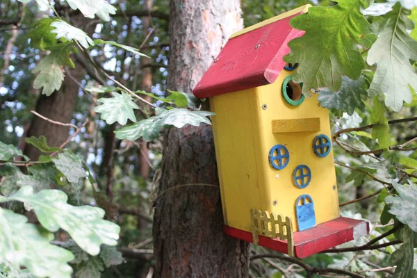 Kuşlar Için Güzel Birkuş Evi Park Kuşlar Için Kuşevi Fotoğrafı — Stok fotoğraf