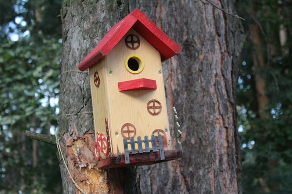 あなた自身の手で作られたPark Houseの鳥のための鳥のための美しい鳥小屋 木製の材料は その上に黄色の色を塗られています — ストック写真