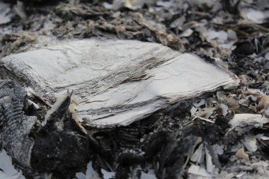 Kitabı, yakılan sokak / fotoğraf kitabında küle çevirdi. Küller, yanmış yaprakların etrafında kaldı. Ders kitabının yapraklarına bakın..