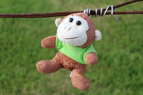 the toy monkey is left hanging on the barbed wire on a green grass background / photos with a soft toy monkey. it's hanging on a wire. green grass background.