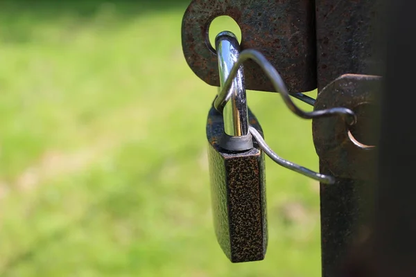 closed metal lock on iron gates, doors / photo close-up metal lock. it ...