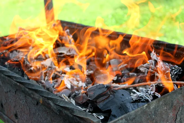 Fire Burning Grill Picnic Photo Fire Grill Preparation Roasting Meat Stock Picture