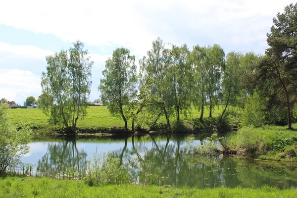 美丽的风景池塘 河流与森林在夏天 照片美丽的自然景观 河流或池塘反映了水中的树木 在森林的河岸上 树枝上的叶子是绿色的 夏天阳光灿烂的一天 — 图库照片