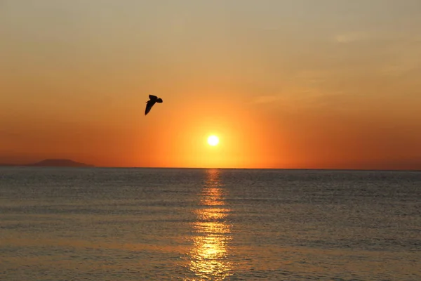 Beautiful Sunrise Bird Black Sea Autumn September Photos Sunrise Sunset — Stock Photo, Image