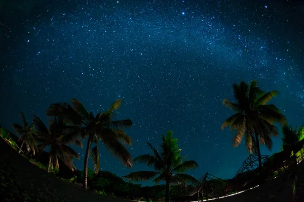 ビーチ 海や海のヤシの木の上に夜空 天の川 雲と夜空 長時間露光で夜の星の写真 プライバシーのイラスト — ストック写真