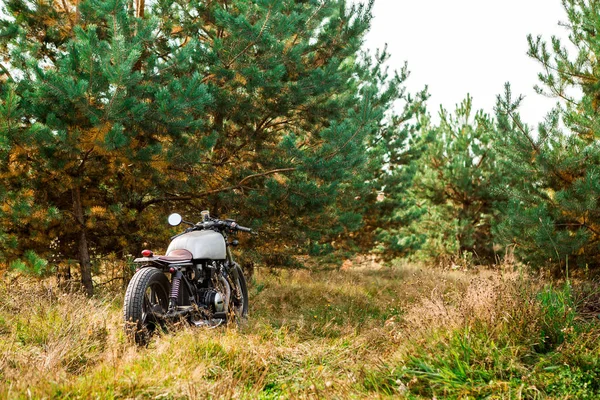 Silbernes Handgefertigtes Motorrad Parkt Auf Einer Landstraße Nach Einem Anstrengenden — Stockfoto