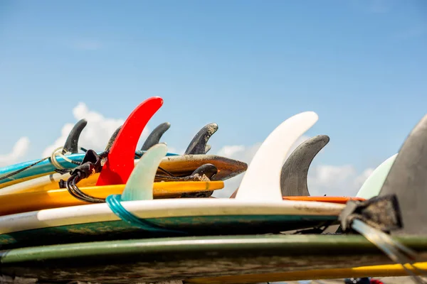 Många Enkel Fin Surfing Longboard Med Surf Koppel Redo För — Stockfoto