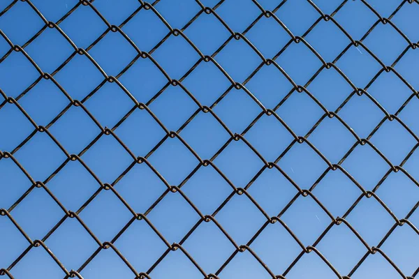 Metal fence from the grid. Protective fence. Texture