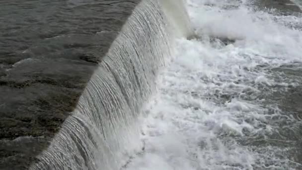 城市河流与急流 强电流 夏季日 — 图库视频影像