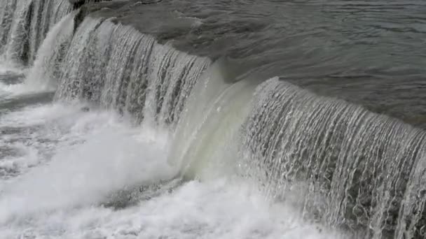 Rivier Van Stad Met Stroomversnellingen Sterke Stroming Zomerdag — Stockvideo