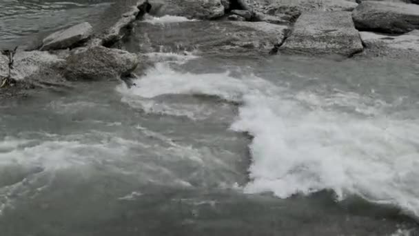 Rivier Van Stad Met Stroomversnellingen Sterke Stroming Zomerdag — Stockvideo