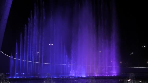 Beautiful Fountain Show Russia City Sochi Evening Time — Stock Video
