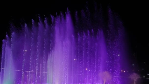 美丽的喷泉秀在俄罗斯的索契市 晚间时间 — 图库视频影像