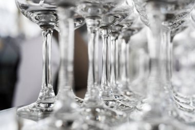 Cam bardak köpüklü şarap için. Bar counter