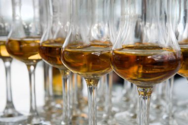 Yüksek bir bacak üzerinde markalı bardaklarda sevgili Scotch viski. Yeni viski tanıtımı