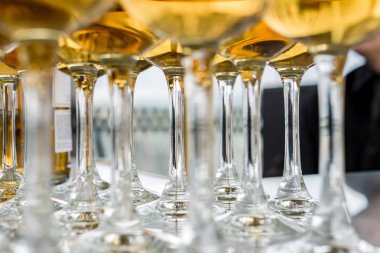 Yüksek bir bacak üzerinde markalı bardaklarda sevgili Scotch viski. Yeni viski tanıtımı