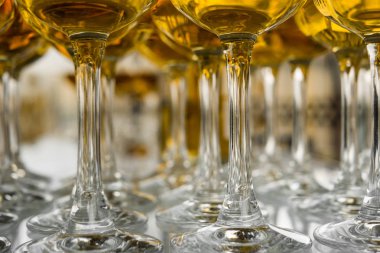 Yüksek bir bacak üzerinde markalı bardaklarda sevgili Scotch viski. Yeni viski tanıtımı