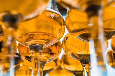 Yüksek bir bacak üzerinde markalı bardaklarda sevgili Scotch viski. Yeni viski tanıtımı