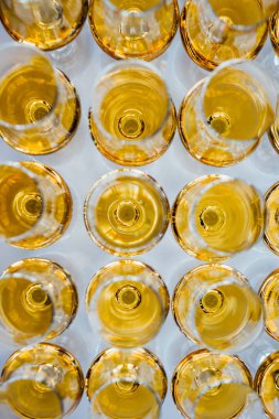 Yüksek bir bacak üzerinde markalı bardaklarda sevgili Scotch viski. Yeni viski tanıtımı