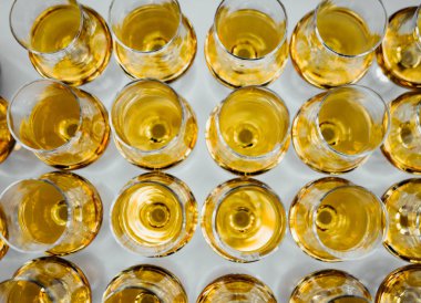 Yüksek bir bacak üzerinde markalı bardaklarda sevgili Scotch viski. Yeni viski tanıtımı
