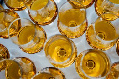 Yüksek bir bacak üzerinde markalı bardaklarda sevgili Scotch viski. Yeni viski tanıtımı