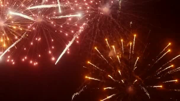 Brillantes Ráfagas Fuegos Artificiales Cielo Nocturno Vacaciones Ciudad — Vídeo de stock